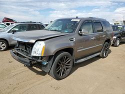 Cadillac salvage cars for sale: 2011 Cadillac Escalade Luxury