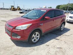 Ford salvage cars for sale: 2014 Ford Escape SE