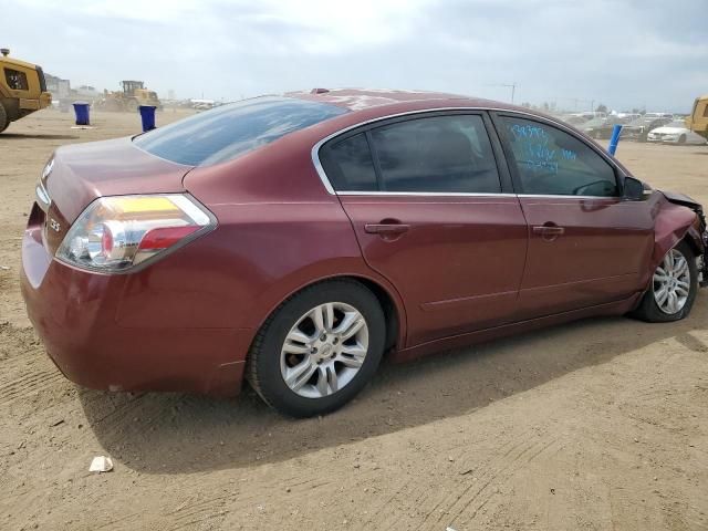 2010 Nissan Altima Base