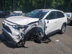 Toyota rav4 salvage cars for sale: 2024 Toyota Rav4 LE