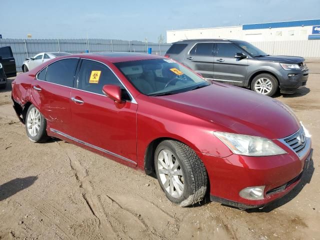 2010 Lexus ES 350