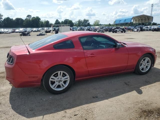 2013 Ford Mustang