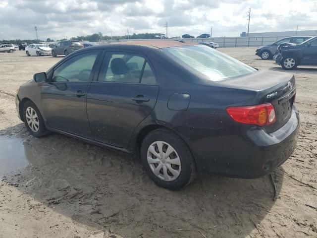 2009 Toyota Corolla Base