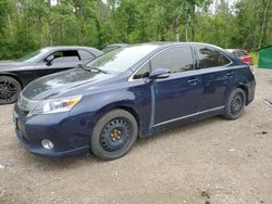 Lexus salvage cars for sale: 2011 Lexus HS 250H