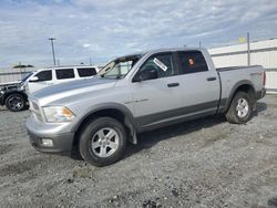 Salvage cars for sale from Copart Lumberton, NC: 2010 Dodge RAM 1500
