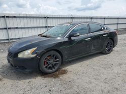 Nissan Maxima salvage cars for sale: 2011 Nissan Maxima S