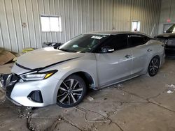 Nissan Maxima salvage cars for sale: 2023 Nissan Maxima SV