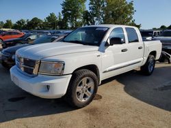 Dodge Dakota salvage cars for sale: 2011 Dodge Dakota Laramie