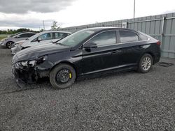 Hyundai salvage cars for sale: 2019 Hyundai Sonata SE