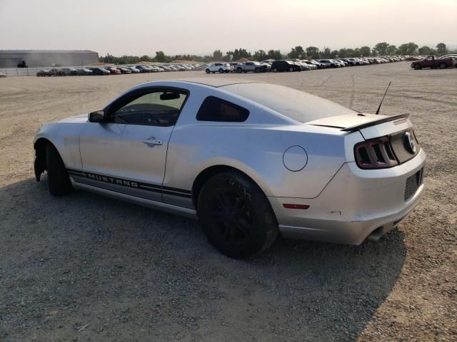 2014 Ford Mustang