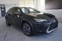 2019 Lexus UX 200 for sale in Magna, UT