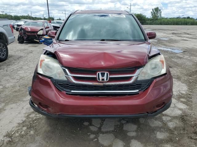 2010 Honda CR-V EXL