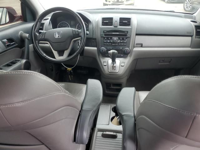 2010 Honda CR-V EXL