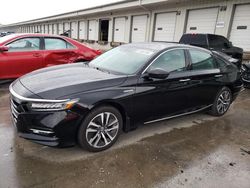 2020 Honda Accord Touring Hybrid for sale in Louisville, KY