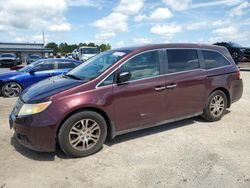 Honda Odyssey exl salvage cars for sale: 2012 Honda Odyssey EXL