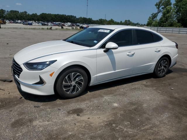 2021 Hyundai Sonata Hybrid