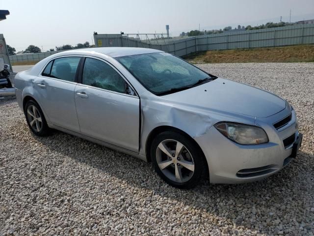 2011 Chevrolet Malibu 1LT