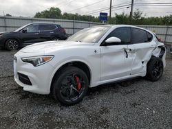 Alfa Romeo Vehiculos salvage en venta: 2018 Alfa Romeo Stelvio Quadrifoglio