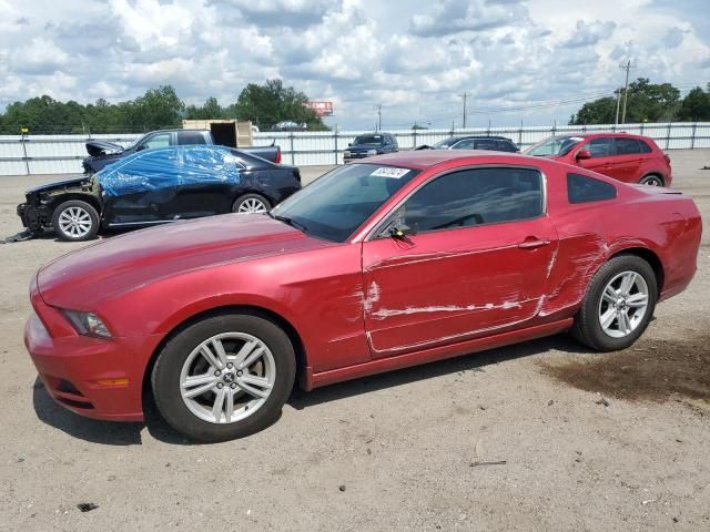 2013 Ford Mustang