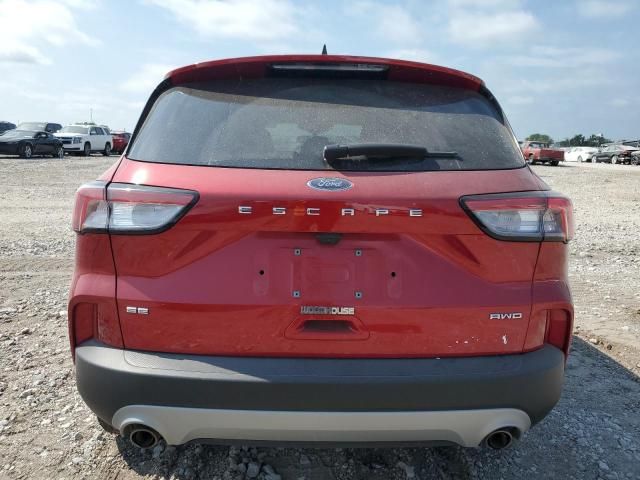 2021 Ford Escape SE