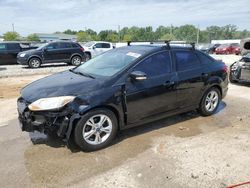 Ford Focus salvage cars for sale: 2013 Ford Focus SE