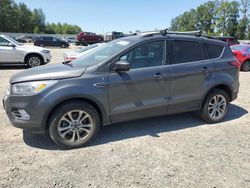 Ford Escape salvage cars for sale: 2019 Ford Escape SEL