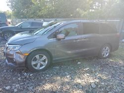 Honda Odyssey ex salvage cars for sale: 2019 Honda Odyssey EX