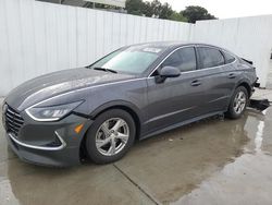 Hyundai Sonata salvage cars for sale: 2021 Hyundai Sonata SE