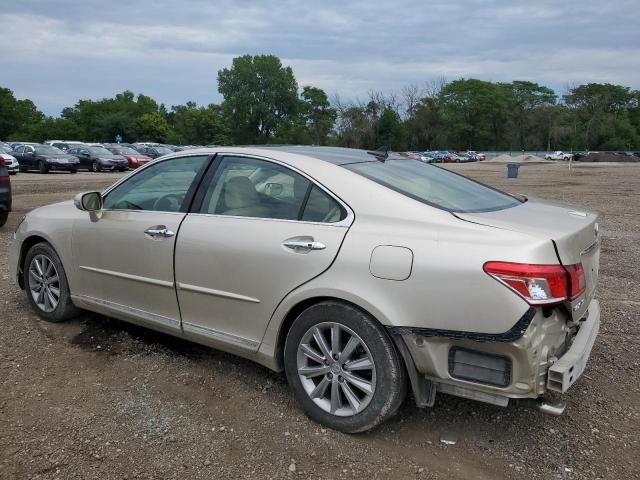 2010 Lexus ES 350