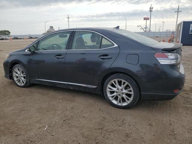 2010 Lexus HS 250H