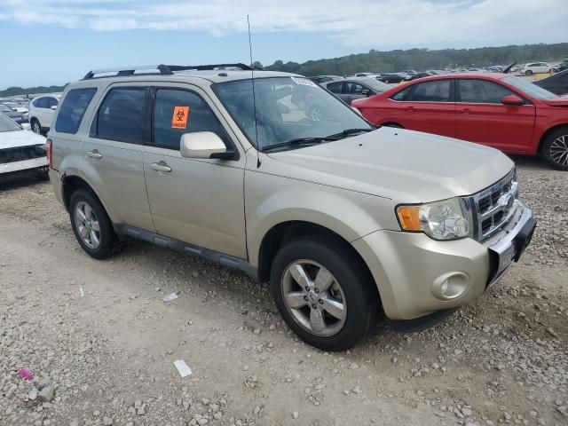 2010 Ford Escape Limited