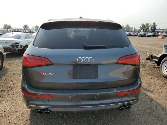 2016 Audi SQ5 Technik