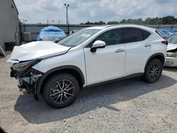 Lexus nx 350h ba salvage cars for sale: 2024 Lexus NX 350H Base