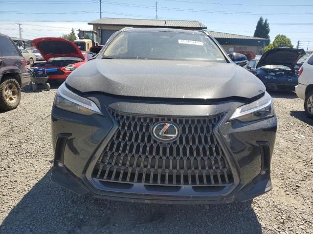 2024 Lexus NX 350H Base