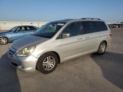 2005 Honda Odyssey EXL en venta en Wilmer, TX