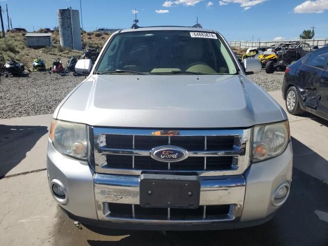 2010 Ford Escape Limited