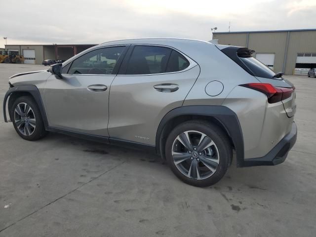 2020 Lexus UX 250H