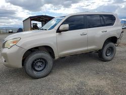 Lexus salvage cars for sale: 2010 Lexus GX 460