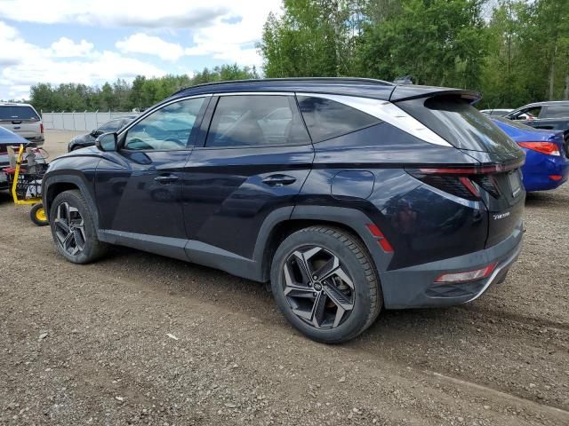 2023 Hyundai Tucson Luxury