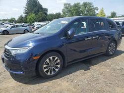 Honda Odyssey exl salvage cars for sale: 2021 Honda Odyssey EXL