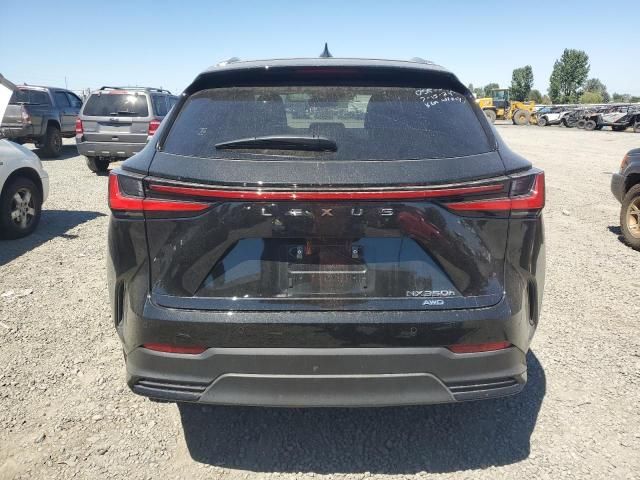 2024 Lexus NX 350H Base