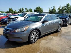 Honda Accord salvage cars for sale: 2012 Honda Accord EX