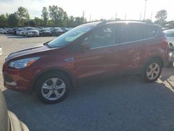 Ford Escape salvage cars for sale: 2014 Ford Escape SE