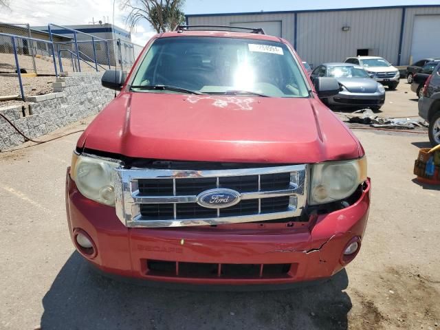 2008 Ford Escape XLT