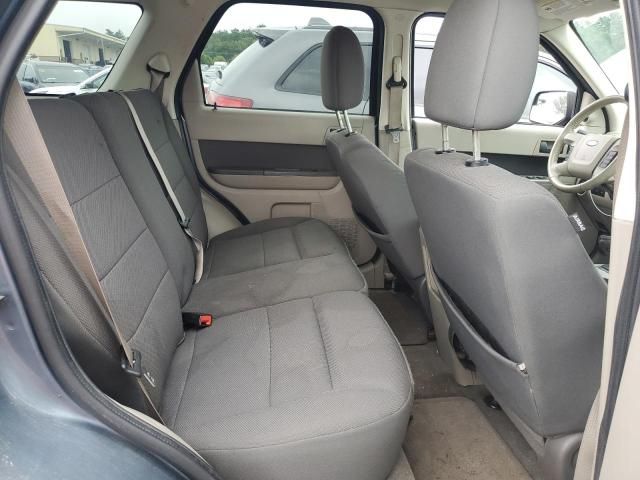 2010 Ford Escape XLT