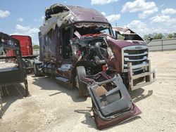 Freightliner Cascadia 126 salvage cars for sale: 2021 Freightliner Cascadia 126