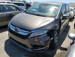 2019 Honda Odyssey Touring for sale in Martinez, CA