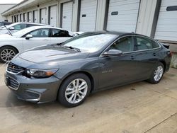 2016 Chevrolet Malibu Hybrid for sale in Louisville, KY