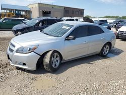 Chevrolet Malibu salvage cars for sale: 2013 Chevrolet Malibu LS