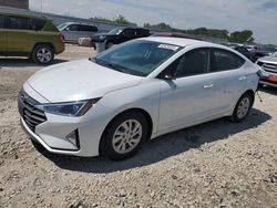 Hyundai Elantra salvage cars for sale: 2020 Hyundai Elantra SE